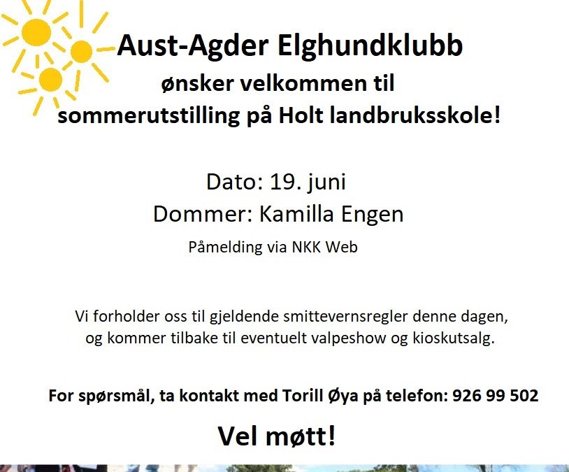 Sommerutstilling på Holt!