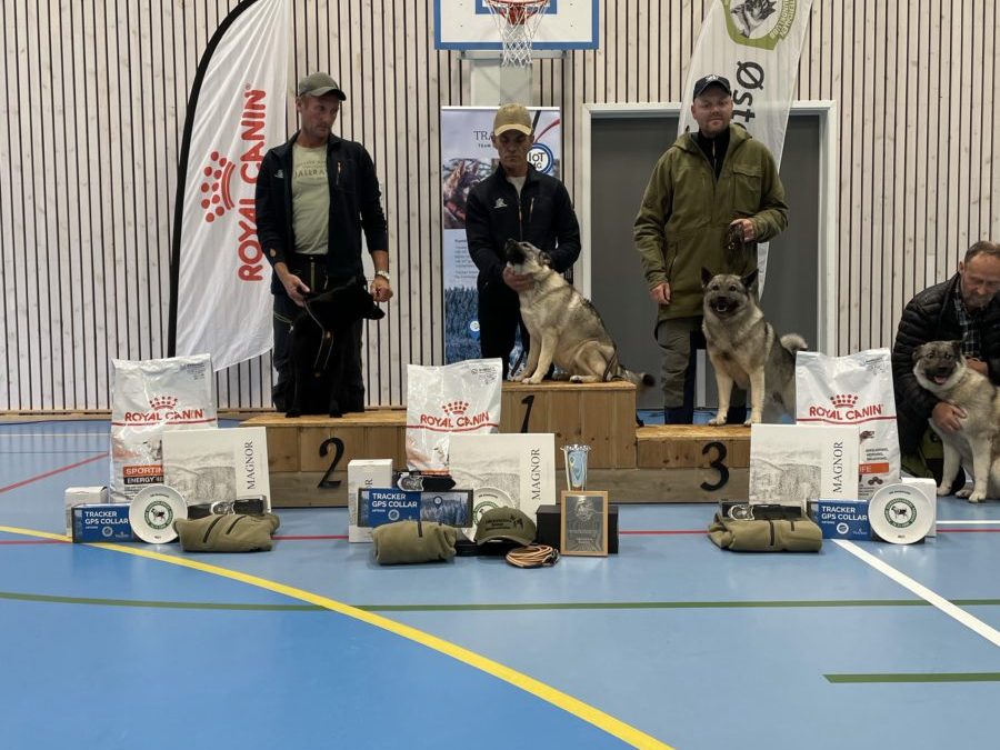 Kristian og Ailo nummer 2 i Bandhund NM!