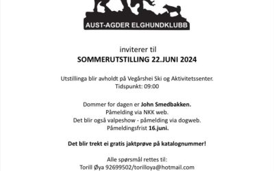 Sommerutstilling 2024