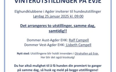 Utstilling på Evje i januar!