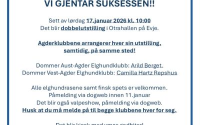 Dobbelutstilling Otrahallen Evje