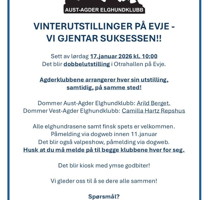 Dobbelutstilling Otrahallen Evje