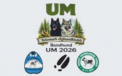 Invitasjon UM Bandhund